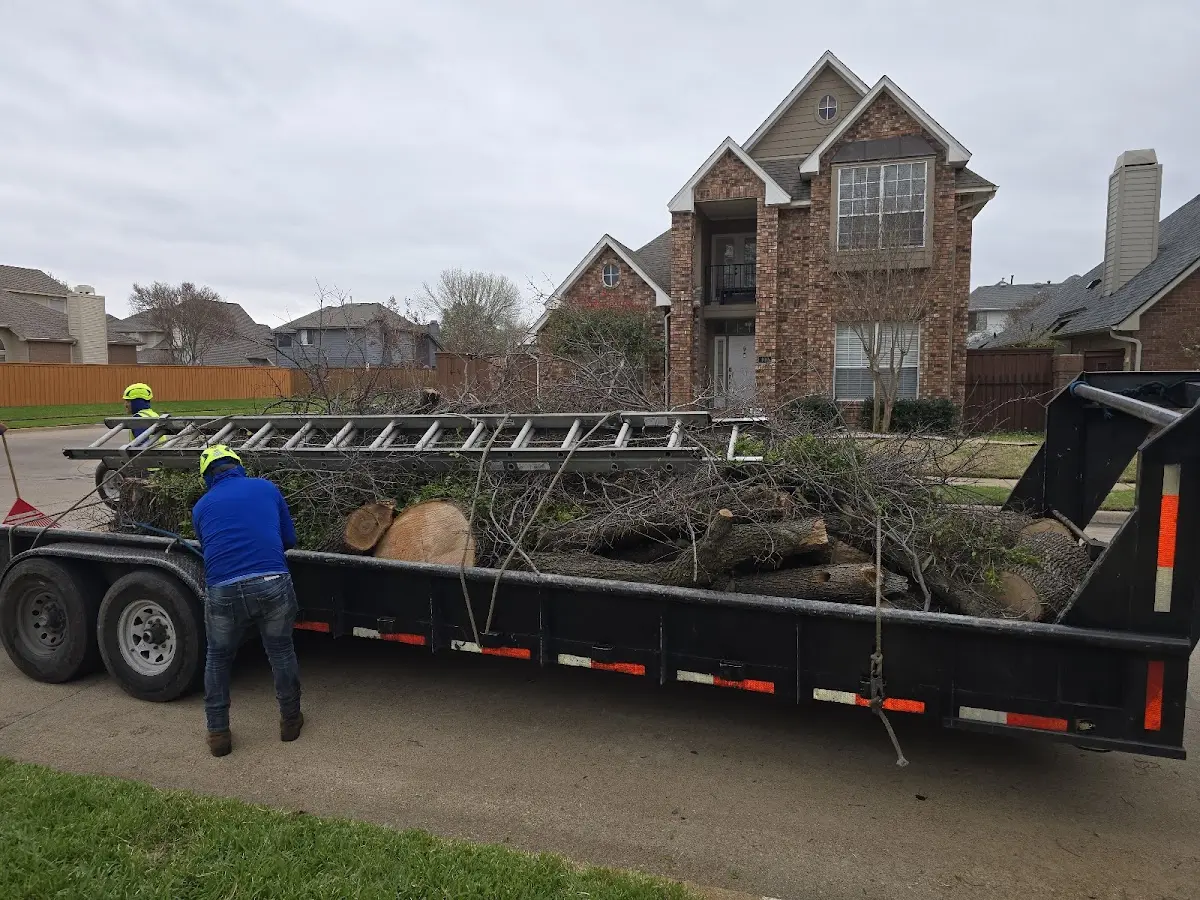 Expert Tree Fertilization with proper safety equipment in Gillett Grove